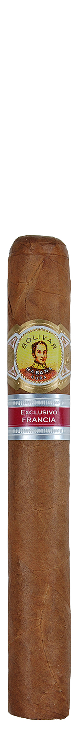 Bolivar Libertador